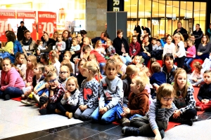Zdjęcie: 2018-01-28-M.N.-   (11).JPG